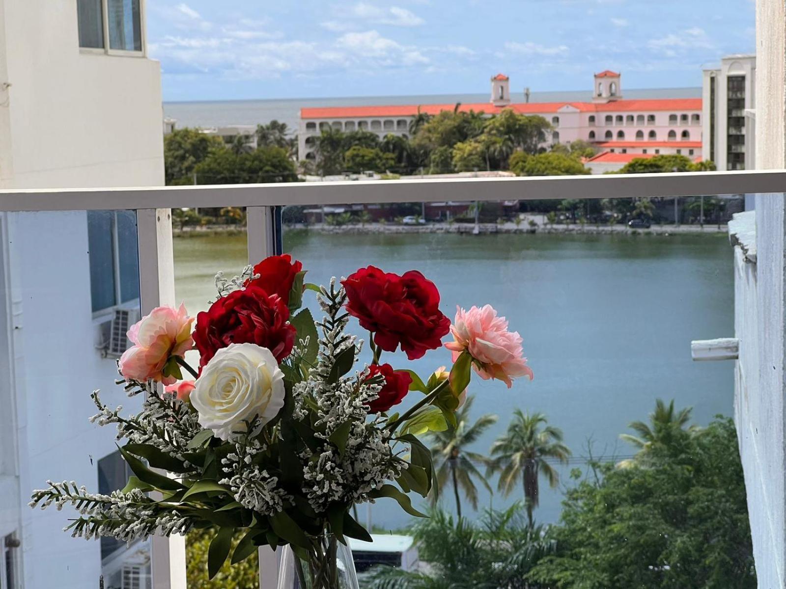 Bienesweb Conquistador Premium Apartamento